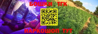 крисы Можайск