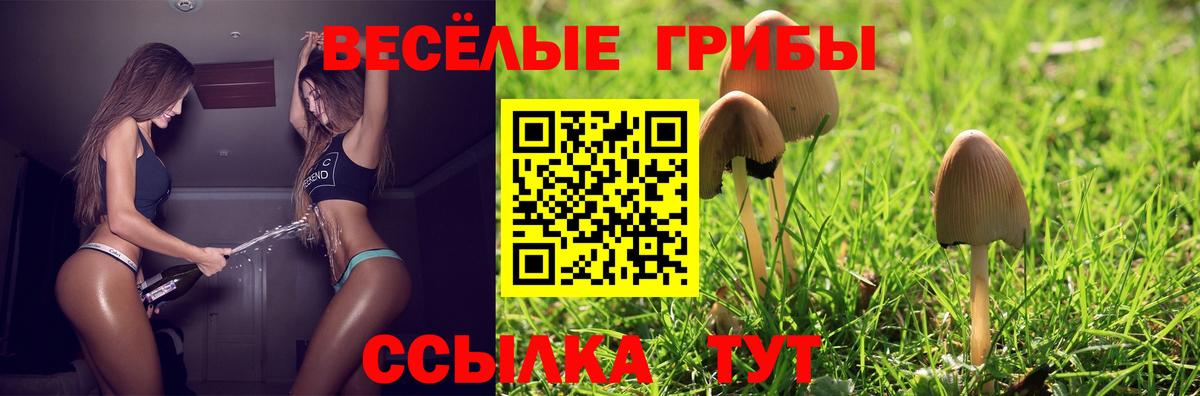 Псилоцибиновые грибы Psilocybine cubensis Верхняя Салда