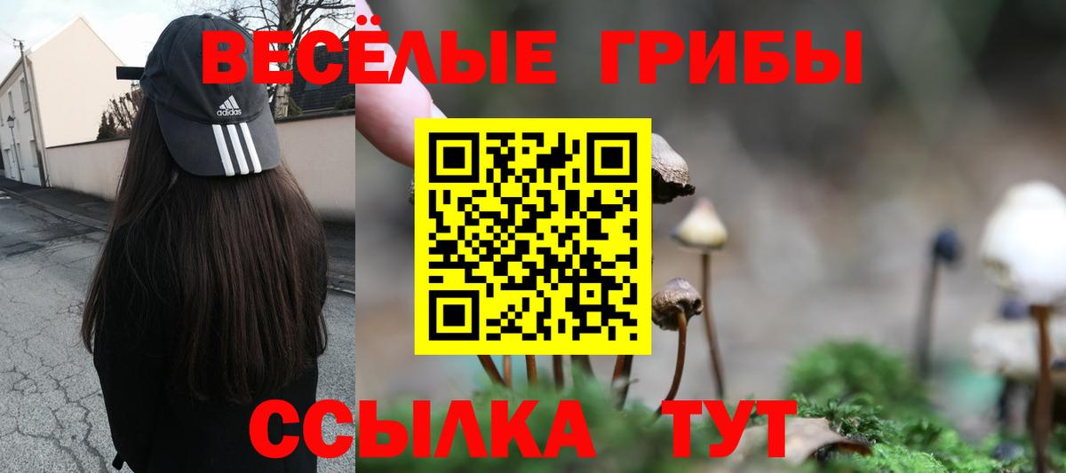 Верхняя Салда  Галлюциногенные грибы GOLDEN TEACHER  Галлюциногенные грибы Psilocybine cubensis  цены   Вход с VPN 